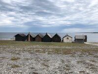 IMG_8677.jpeg