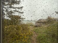 IMG_0974.jpeg