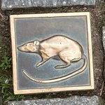 IMG_2902.jpeg