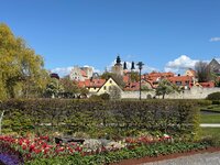 IMG_0948.jpeg