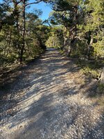 IMG_1025.jpeg