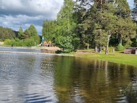 20250523_171253.jpg