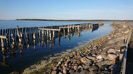 DSC_0091.jpg