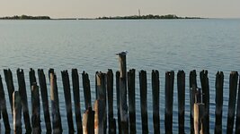 DSC_0095.jpg