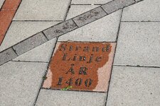 DSC03384.jpg