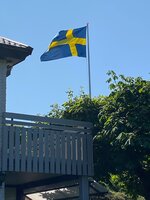 IMG_7041.jpg