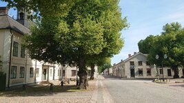 DSC_1608.JPG