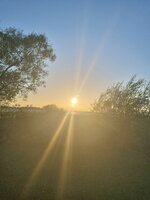 20250806_202510.jpg