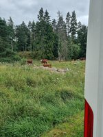 20250804_135215.jpg