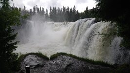 DSC_0313.jpg