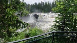 DSC_0316.jpg