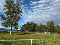 IMG_1657.jpeg