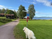 IMG_1658.jpeg