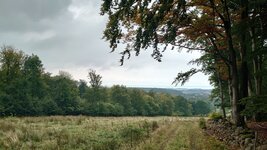 DSC_2040.JPG