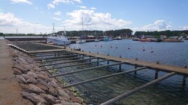 DSC_0146.jpg