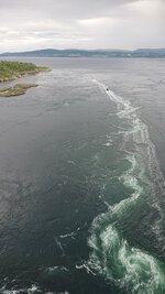 DSC_0168.jpg