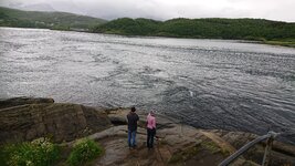 DSC_0180.jpg