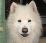 IMG_5641.jpeg