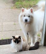 IMG_0095.jpeg