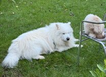 IMG_2058.jpeg