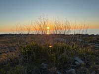 IMG_1107.jpeg
