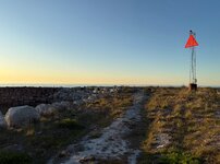 IMG_1106.jpeg