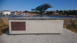DSC_0577.jpg