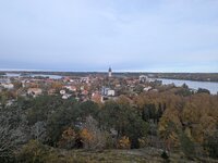 PXL_20251017_101719266.jpg