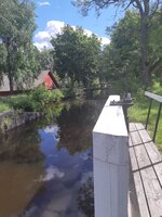 20210615_151310.jpg