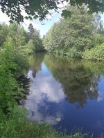 20210615_151303.jpg
