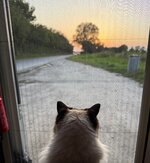 IMG_1616.jpeg IMG_1616.jpeg