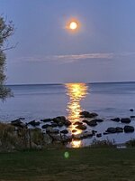 Månsken i Ystad.jpg