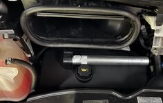 IMG_5555.jpeg IMG_5555.jpeg