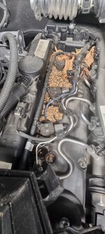 1765222405997.jpeg 1765222405997.jpeg