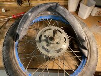 IMG_7497.jpeg IMG_7497.jpeg