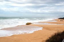 DSC_5104a.jpg DSC_5104a.jpg