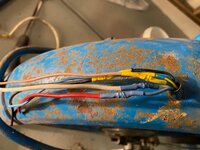 IMG_7525.jpeg IMG_7525.jpeg