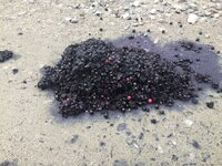 20180826 1124 CG IMG_3797.JPG