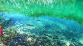 Plitvice Lakes National Park8.jpeg