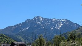 PXL_20260502_114414232.jpg