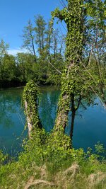 PXL_20260504_125007534.MP.jpg