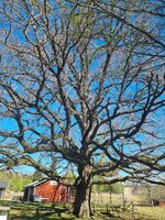 20260501_102742.jpg