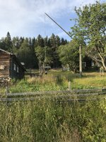 IMG_3488.jpeg