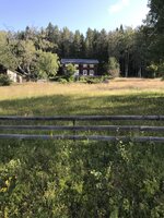 IMG_3495.jpeg