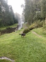 IMG_5542.jpeg