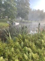 IMG_5544.jpeg