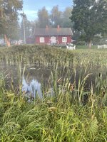 IMG_5543.jpeg