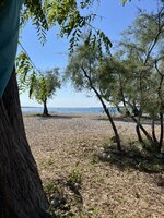 IMG_7991.jpeg
