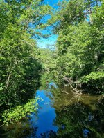 20260619_092404.jpg