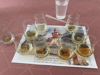 IMG_3555.jpeg IMG_3555.jpeg